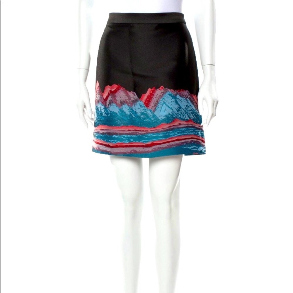 rare alexander wang mini skirt